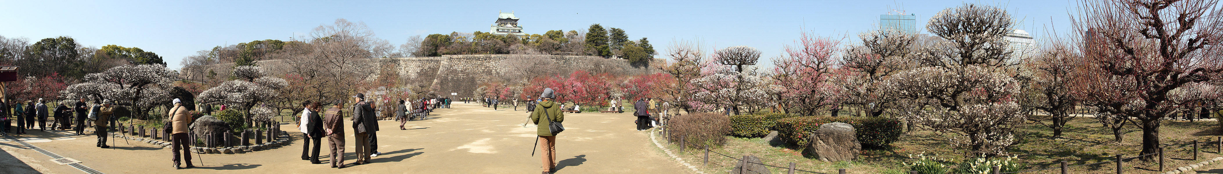 Вид на Замок Осака (A view of the Osaka Castle)