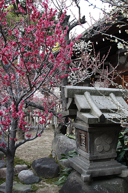 Осака, Храм Тэммангу (Osaka, Temmangu Shrine)