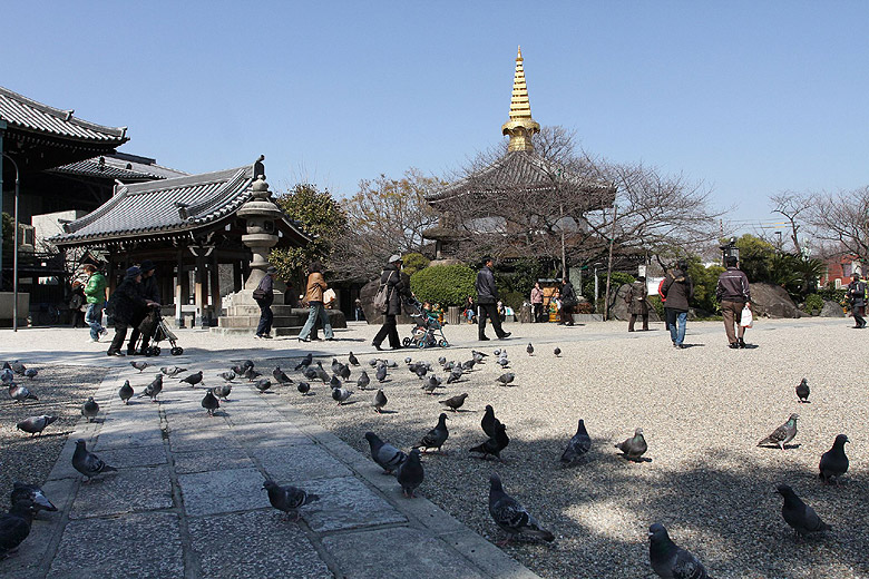 Осака, Храм Иссин-дзи (Osaka, Isshin-ji Temple)